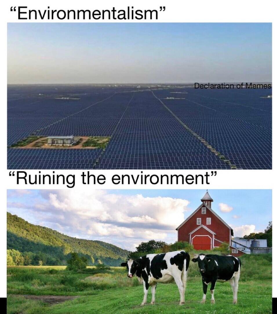 Environmentalism Ruining the environment