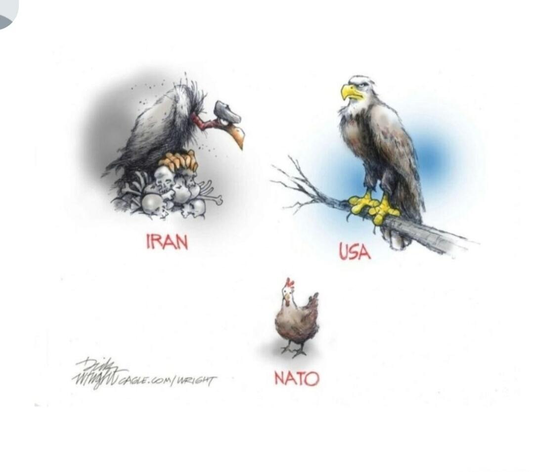 IRAN USA NATO CAGLE.COM/WRIGHT