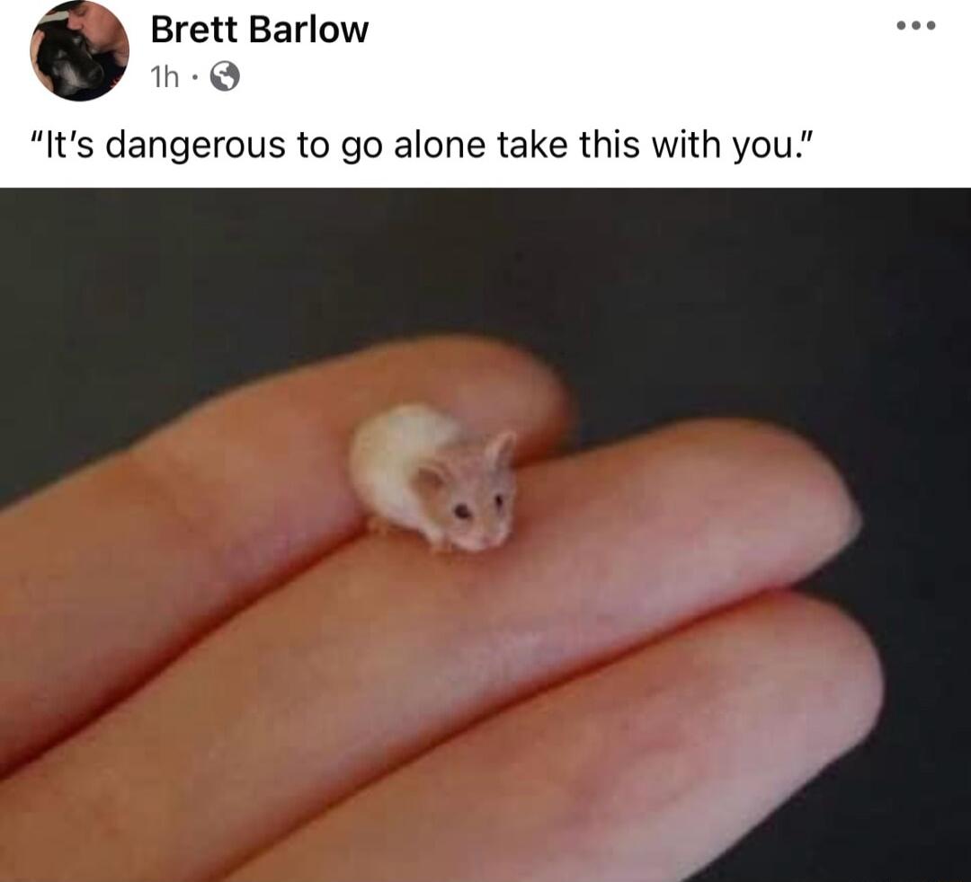 Brett Barlow h Its dangerous to go alone take this with you