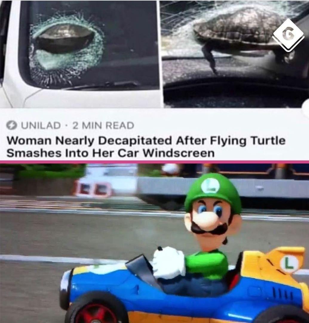 UNILAD 2 MIN READ Woman Nearly Decapitated After Flying Turtle Smashes Into Her Car Windscreen