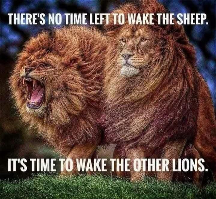 THERE'S NO TIME LEFT TO WAKE THE SHEEP. IT'S TIME TO WAKE THE OTHER LIONS.