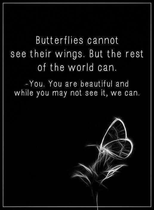 Butterflies cannot see their wings But the rest of the world can You You are beautiful and while you may not see it we can