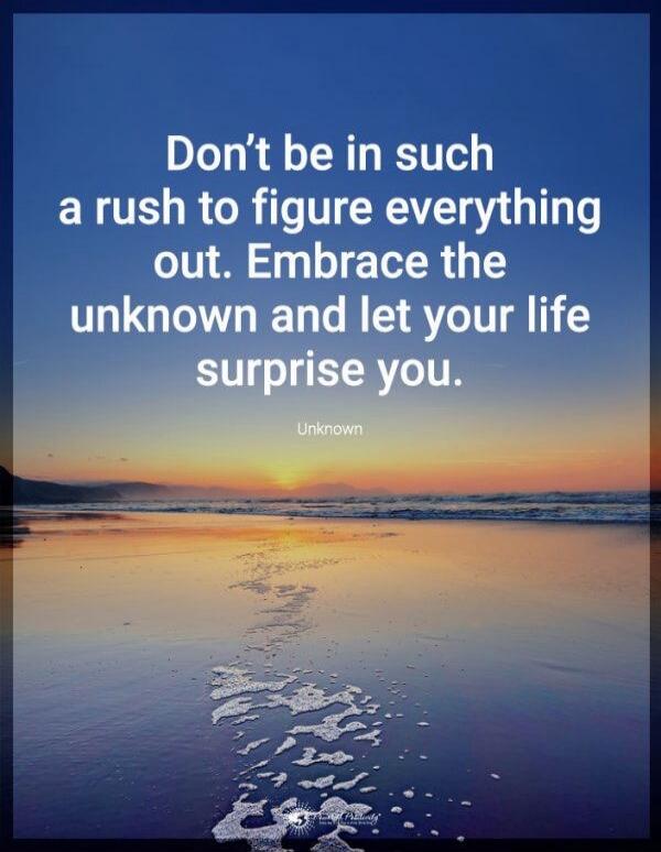 Don't be in such a rush to figure everything out. Embrace the unknown and let your life surprise you. - Unknown