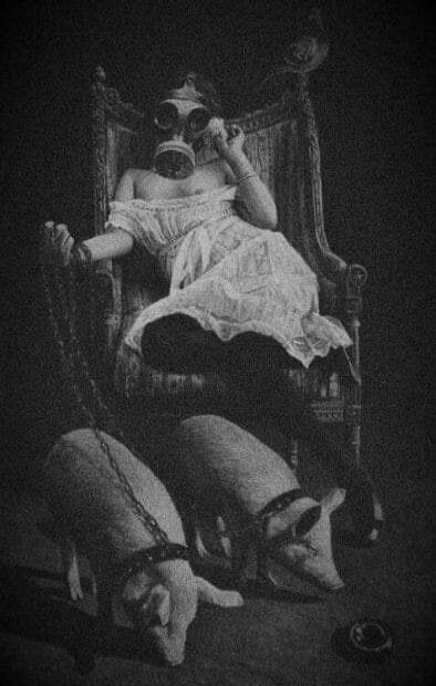 There is no speech in the video. The image depicts a person in a gas mask sitting on a chair, with two pigs on chains in front of them.