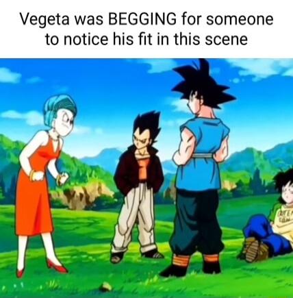 Vegeta was BEGGING for someone to notice his fit in this scene