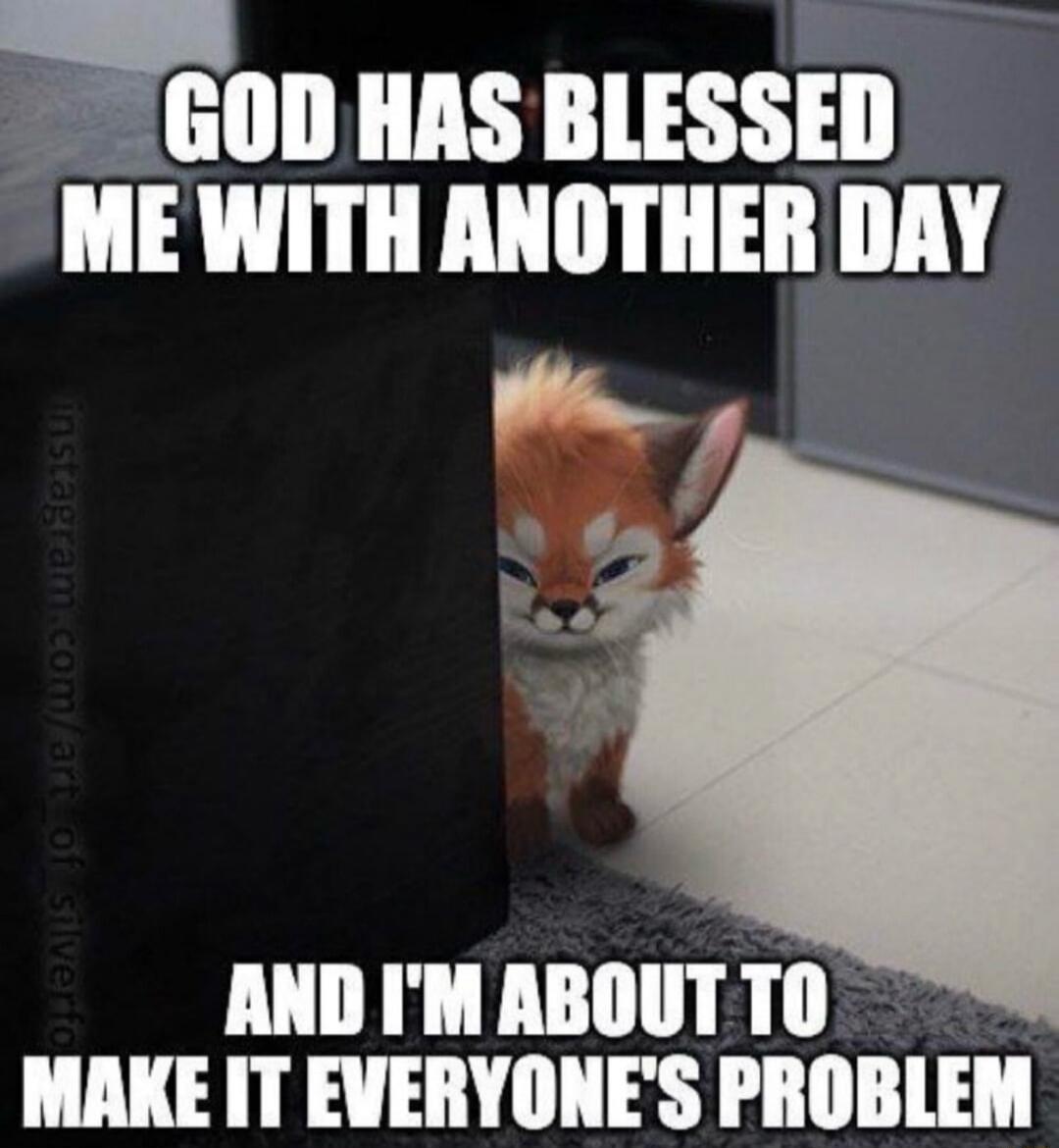 GOD HAS BLESSED ME WITH ANOTHER DAY
AND I'M ABOUT TO MAKE IT EVERYONE'S PROBLEM