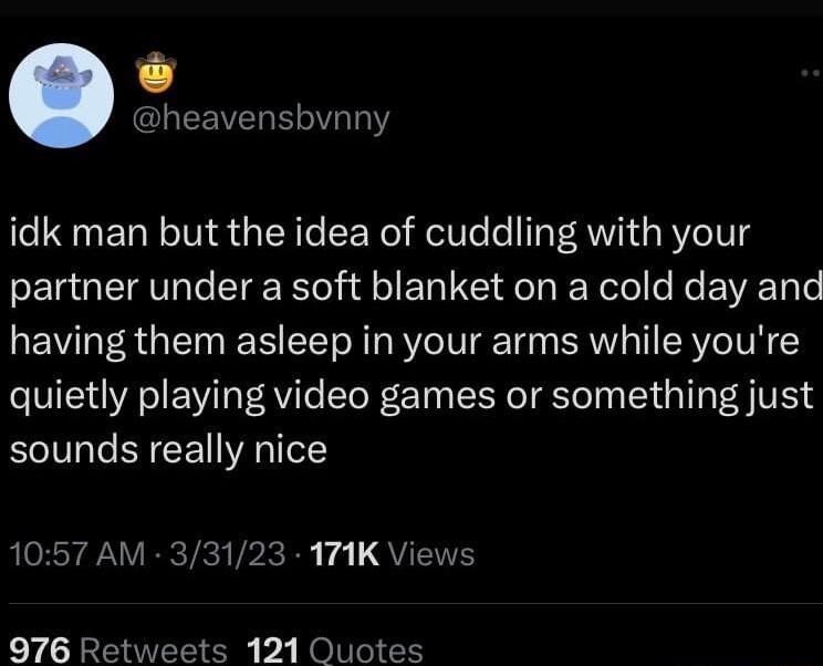 heavensbvnny idk man but the idea of cuddling with your partner under a soft blanket on a cold day and having them asleep in your arms while youre quietly playing video games or something just sounds really nice LYV R Thc VPR B e L QYT 976 Retweets 121 Quotes