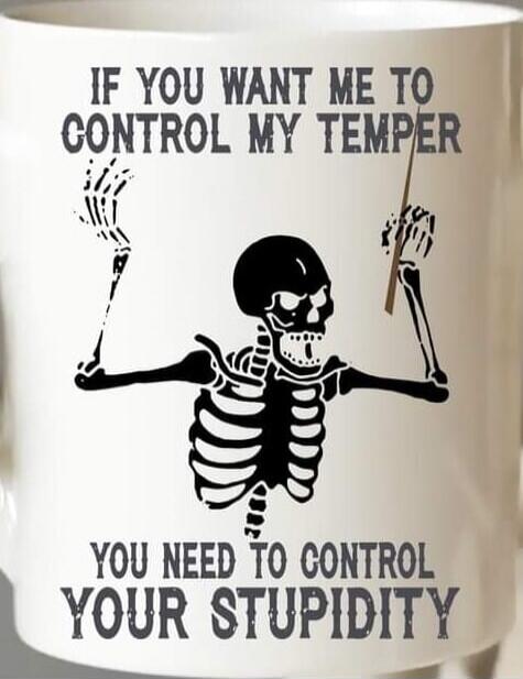 IF YOU WANT ME TO CONTROL MY TEMPER YOU NEED TO CONTROL YOUR STUPIDITY