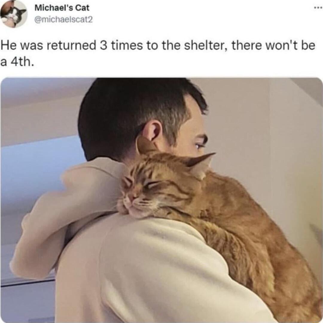 He was returned 3 times to the shelter there wont be a 4th