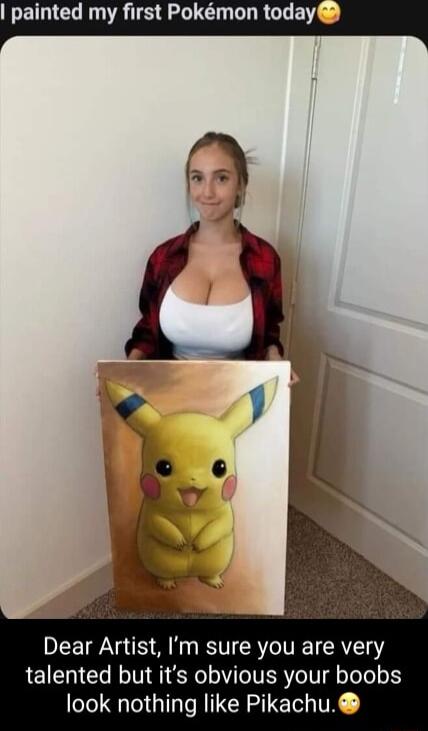 EINCE R TSR I GLRGLE Dear Artist Im sure you are very talented but its obvious your boobs look nothing like Pikachu