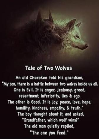 Tale of Two Wolves

An old Cherokee told his grandson, 