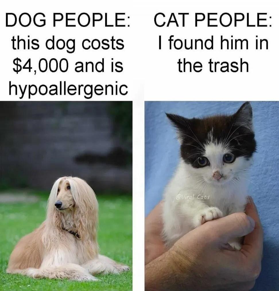 DOG PEOPLE: this dog costs $4,000 and is hypoallergenic. CAT PEOPLE: I found him in the trash.