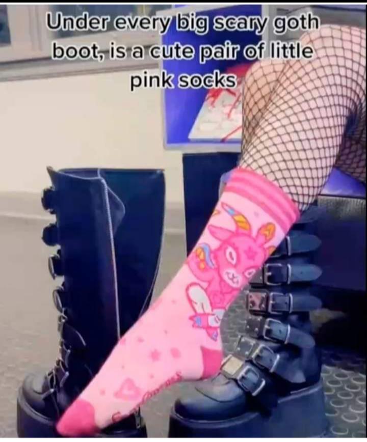l Under bootyistarcutelpaigef 2 pinksocks