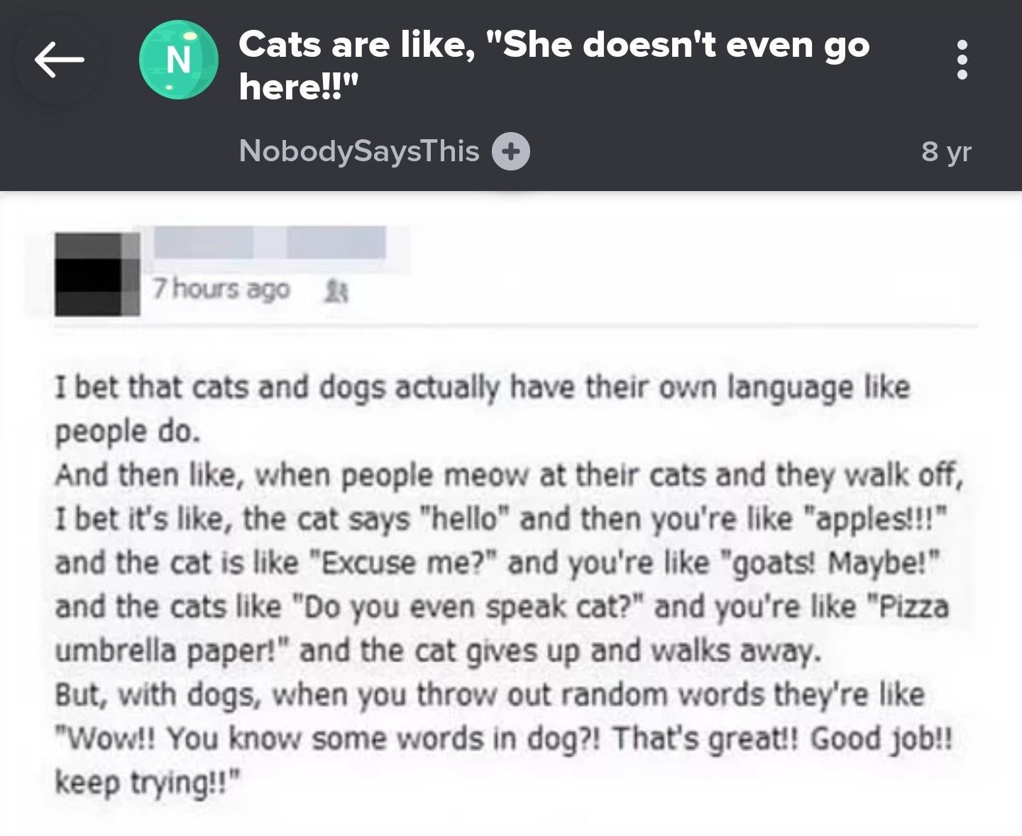 QXN l 960 01 TN TGO W X B AV e 1 here fooTele VSTV oIS o I bet that cats and dogs actually have their own language like people do And then like when people meow at their cats and they walk off I bet its like the cat says hello and then youre like applest and the cat is like Excuse me and youre like goats Maybe and the cats like Do you even speak cat and youre like Pizza umbrella paper and the cat 