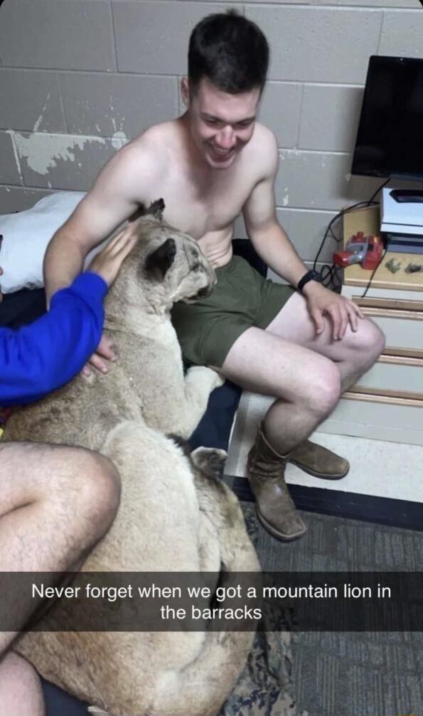 Never forget when we got a mountain lion in JUCLEYETTS