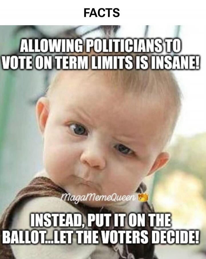 FACTS
ALLOWING POLITICIANS TO VOTE ON TERM LIMITS IS INSANE!
INSTEAD, PUT IT ON THE BALLOT...LET THE VOTERS DECIDE!