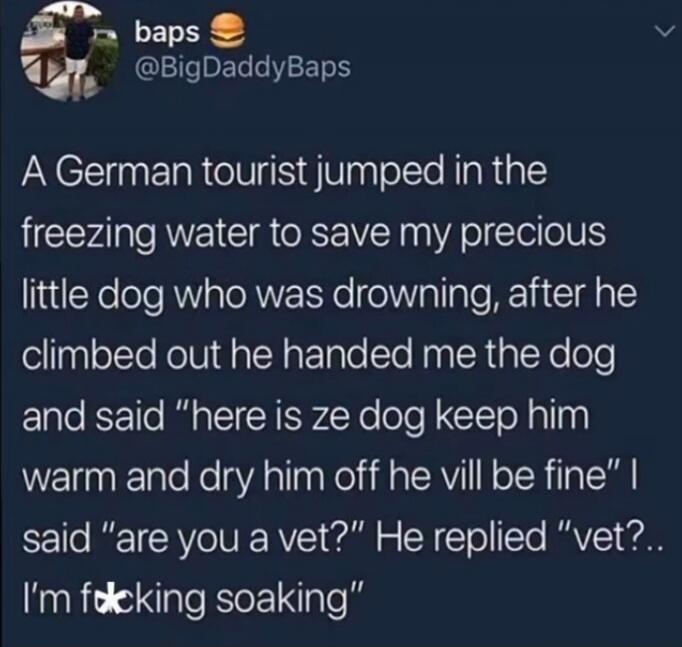 baps 🍔 @BigDaddyBaps A German tourist jumped in the freezing water to save my precious little dog who was drowning, after he climbed out he handed me the dog and said 