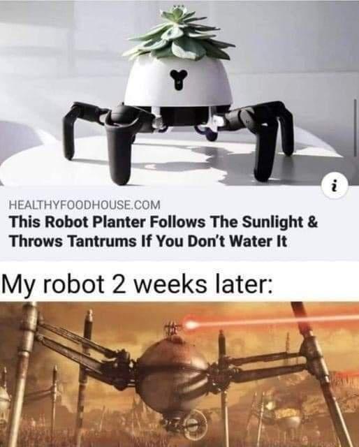 HEALTHYFOODHOUSECOM This Robot Planter Follows The Sunlight Throws Tantrums If You Dont Water It My robot 2 weeks later