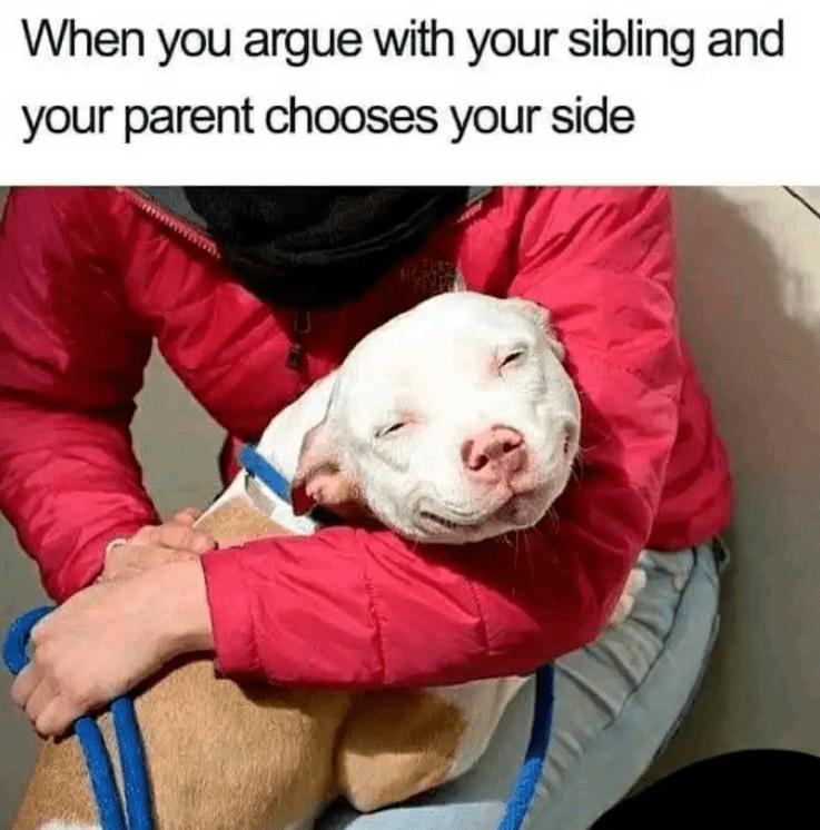 When you argue with your sibling and your parent chooses your side