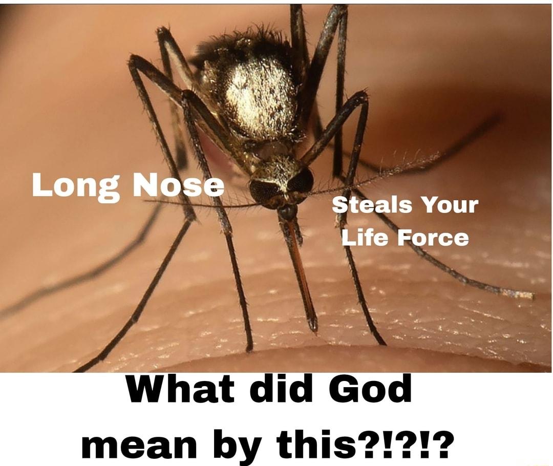 Long Nose S CLIER LT Life Force