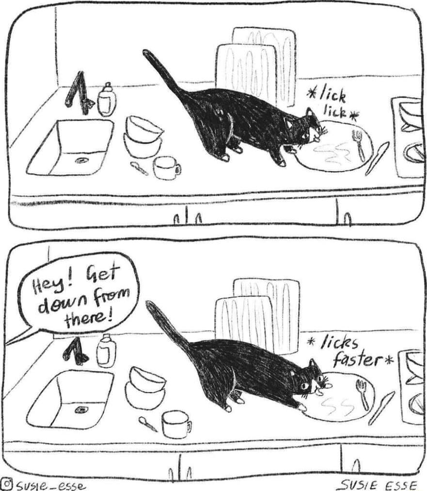 Get nwm L dw l i N 7 faster D cvsieesce SUSIE CSSE