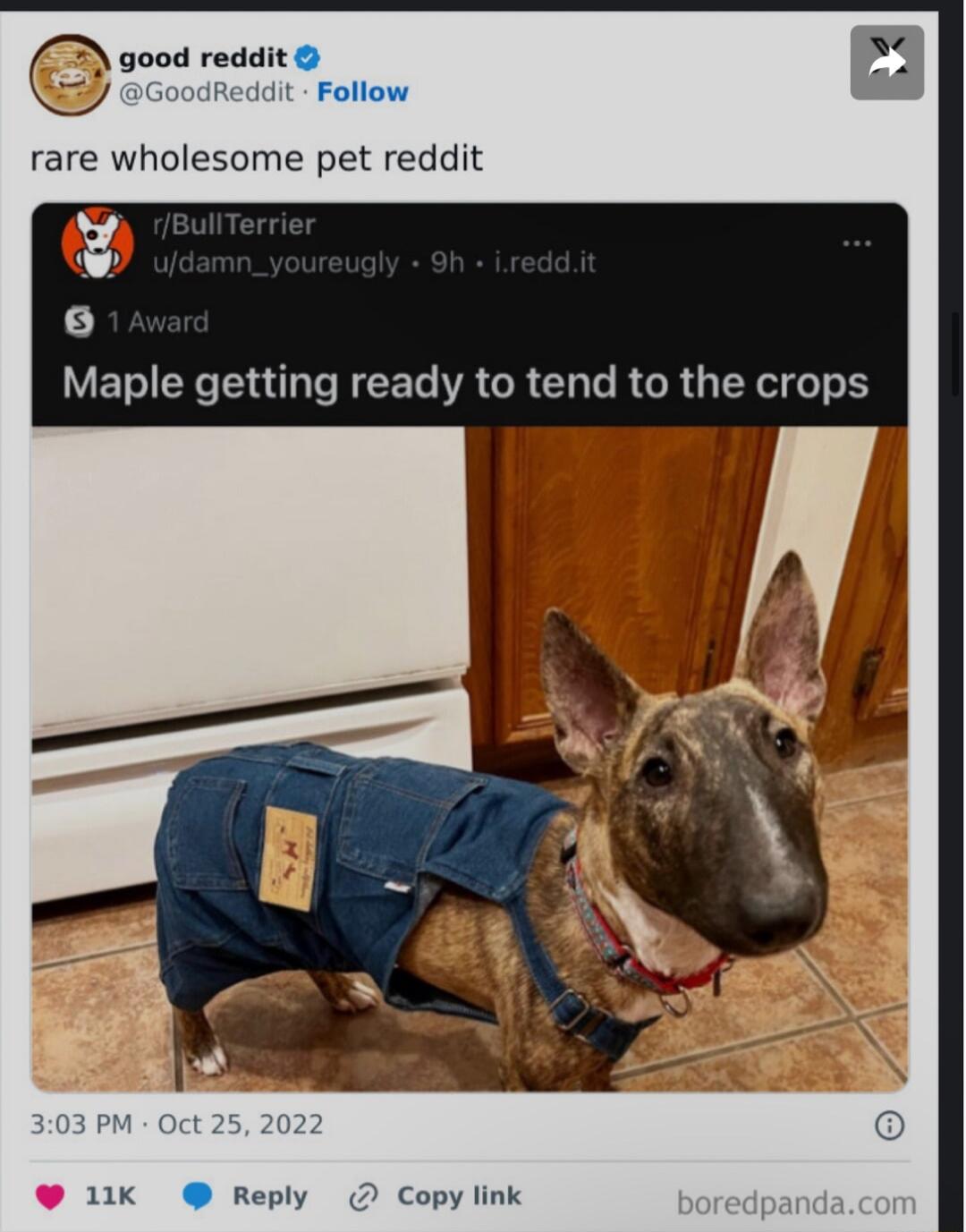 2 good reddit GoodReddit Follow rare wholesome pet reddit L LV ET R T N CET VA GR Gl RGR G Nl o Copy link