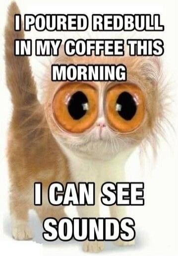 I POURED REDBULL IN MY COFFEE THIS MORNING I CAN SEE SOUNDS