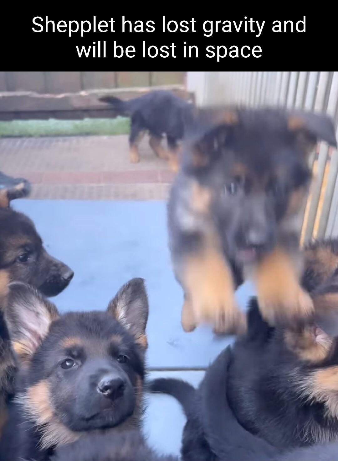 Shepplet has lost gravity and will be lost in space