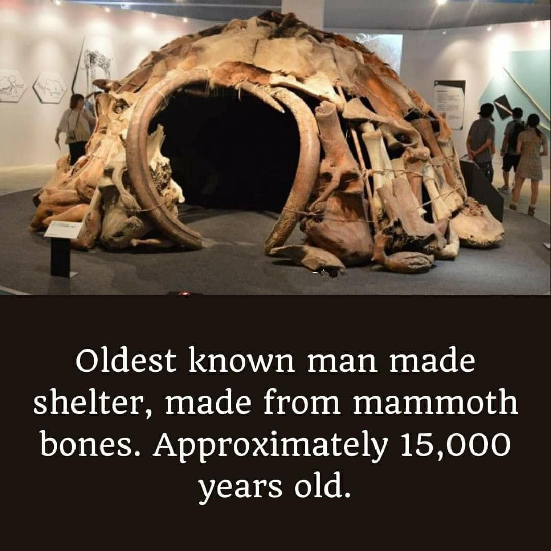 Oldest known man made shelter made from mammoth o0 s I 0 s epld b a s 1 H VAR RS 0010 years old