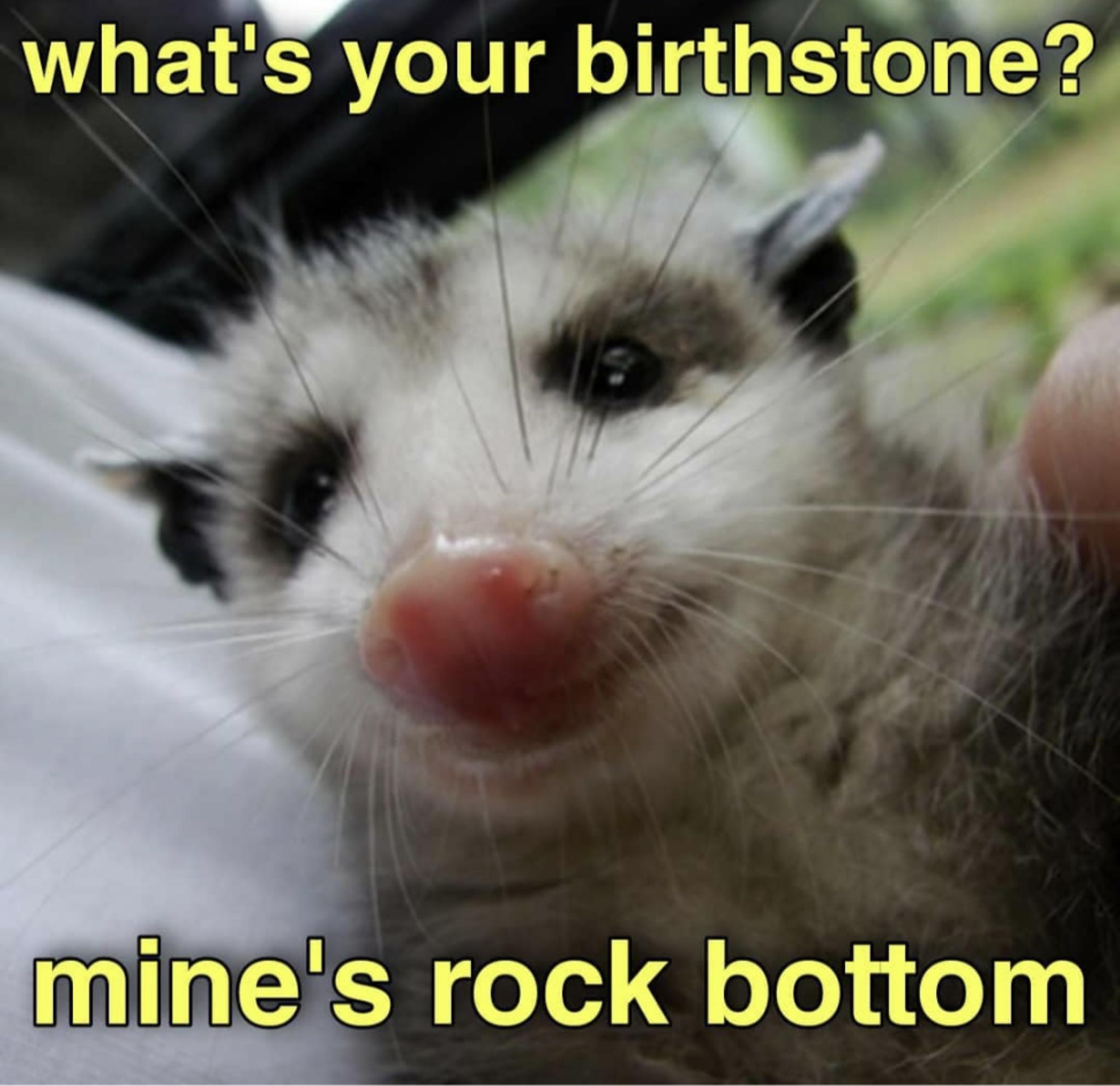 whats your birthstone mines rock bottom