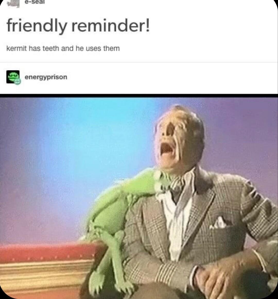friendly reminder kermit has teeth and he uses them B ceromeon