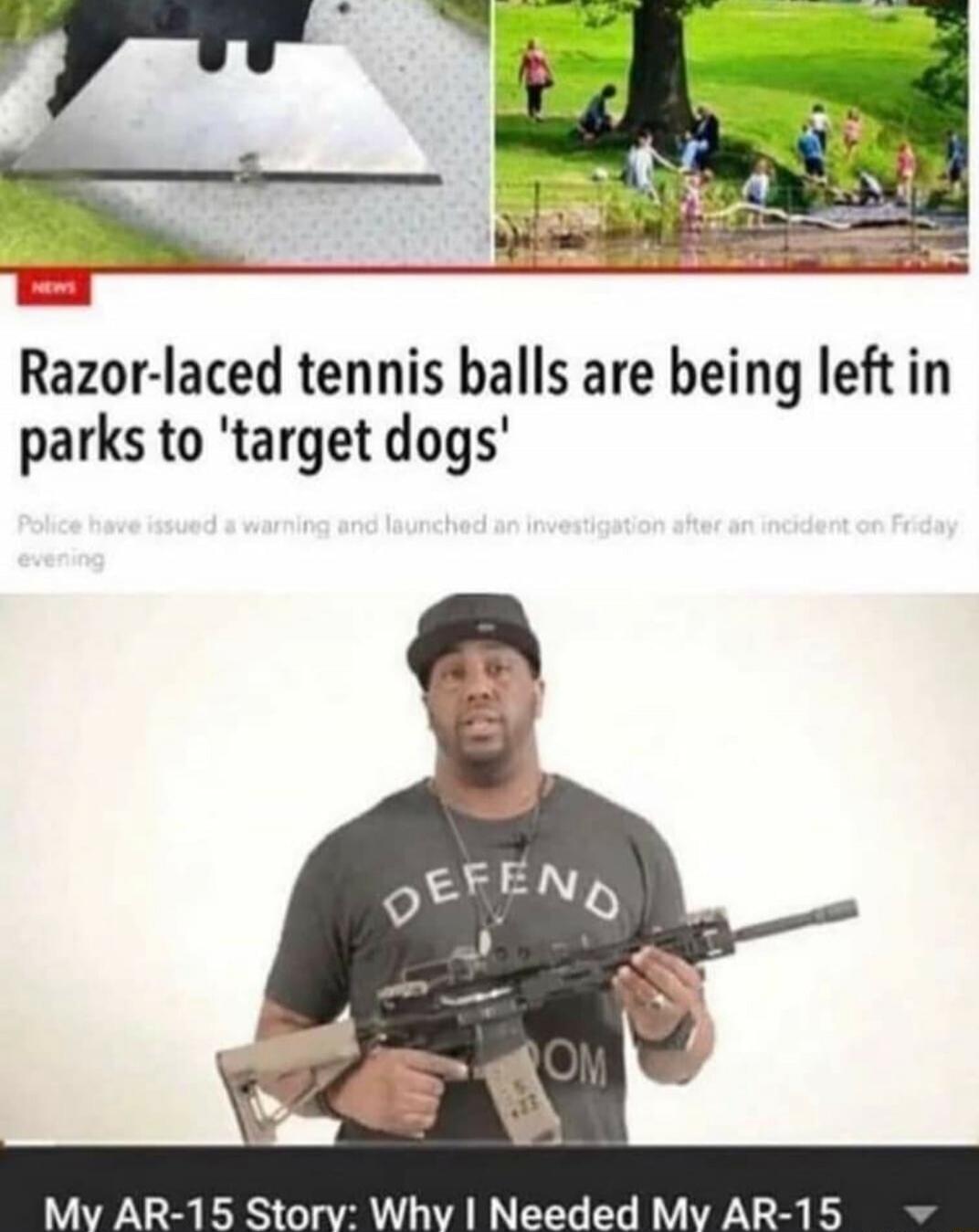 NEWS Razor-laced tennis balls are being left in parks to 'target dogs' Police have issued a warning and launched an investigation after an incident on Friday evening DEFEND My AR-15 Story: Why I Needed My AR-15