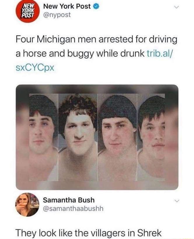 New York Post pasr nypost Four Michigan men arrested for driving a horse and buggy while drunk tribal sxCYCpx Samantha Bush samanthaabushh They look like the villagers in Shrek