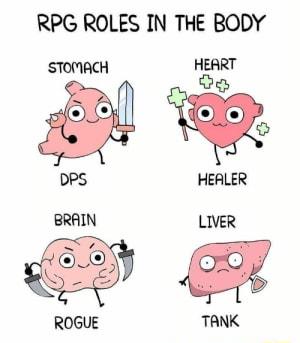 RPG ROLES IN THE BODY i m Ei Dy 9 DPS HEALER BRAIN LIVER