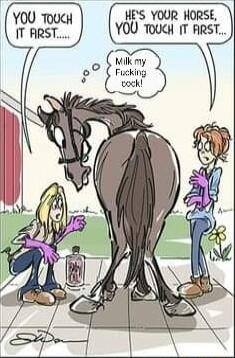 YOO ToucH HES YOUR HORSE IT ARST YOU TOUCH 1T FIRST Milk my o o Fucking Y ek