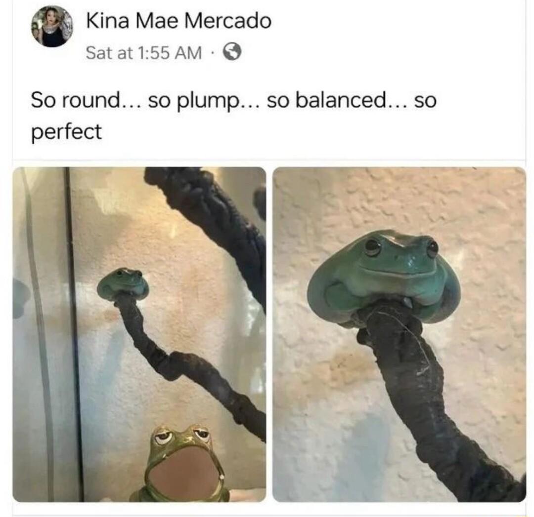 Kina Mae Mercado Satat155 AM So round so plump so balanced so perfect