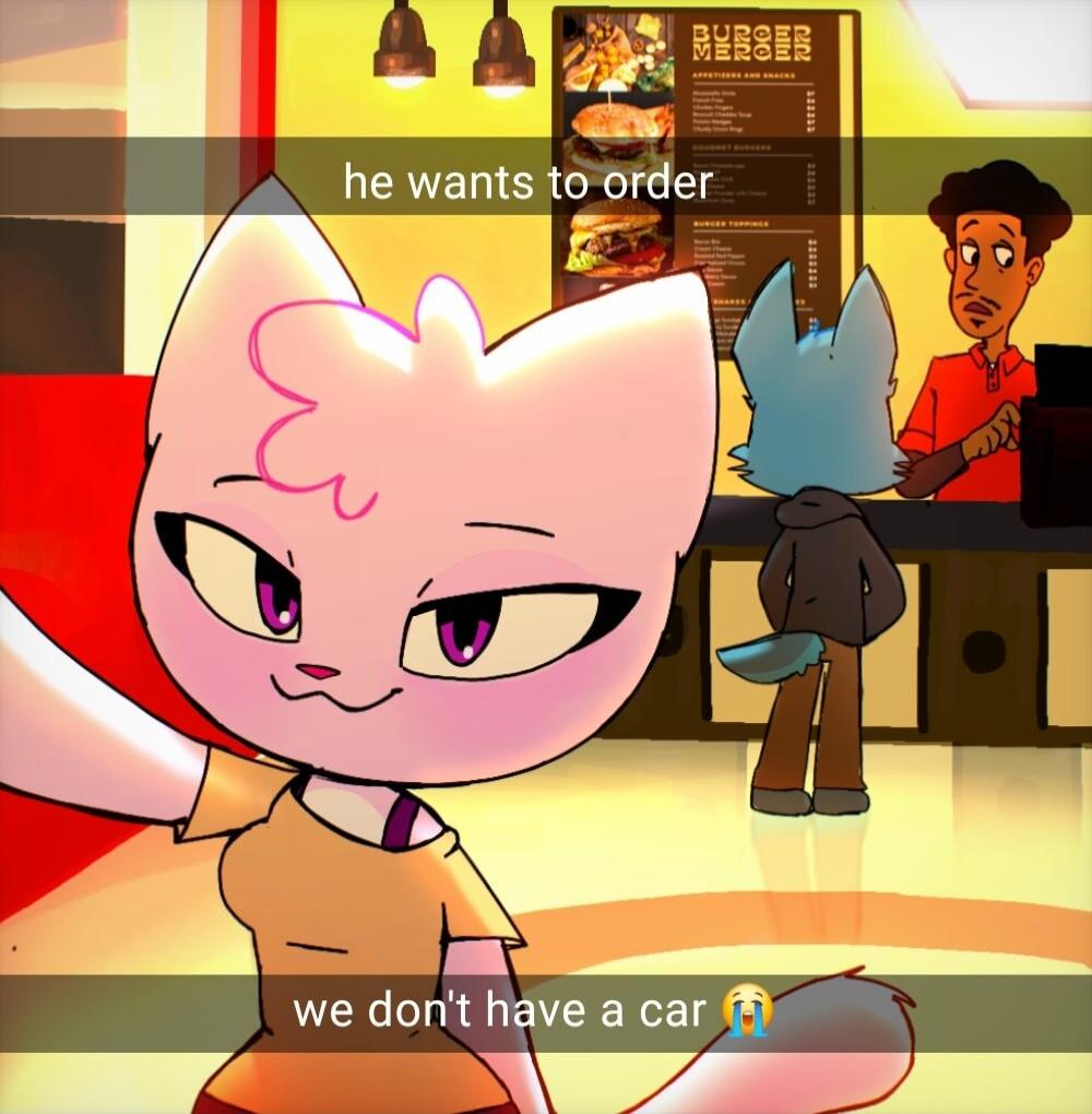 we dont have a car