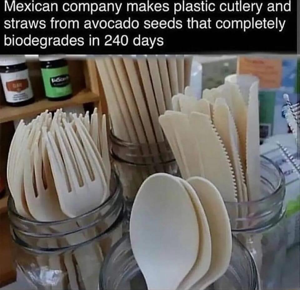 Mexican company makes plastic cutlery al straws from avocado seeds that completely iodegrades in 240 days l 1