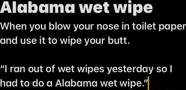 Alabama wet wipe When you blow your nose in toilet paper and use it to wipe your butt I ran out of wet wipes yesterday so had to do a Alabama wet wipe