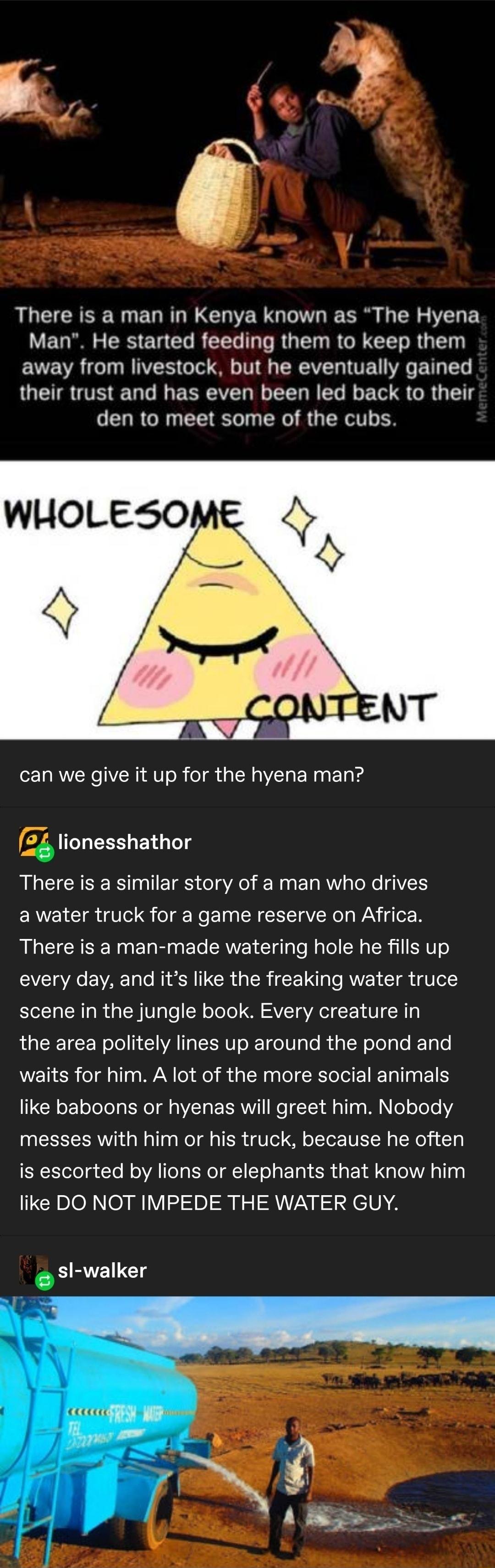 There is a man in Kenya known as The Hyena Man He started feeding them to keep them EUE NV T M IAVICES ool O o TV g o SAV T LVE ULV o P 1T T their trust and has even been led back to their den to meet some of the cubs can we give it up for the hyena man a lionesshathor There is a similar story of a man who drives ERNVEICTg Vo o Wo ETna N TTa VNl g WAV ge R There is a man made watering hole he fill