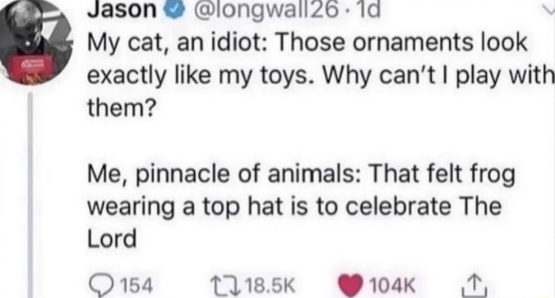 Jason @longwall26 · 1d
My cat, an idiot: Those ornaments look exactly like my toys. Why can’t I play with them?

Me, pinnacle of animals: That felt frog wearing a top hat is to celebrate The Lord