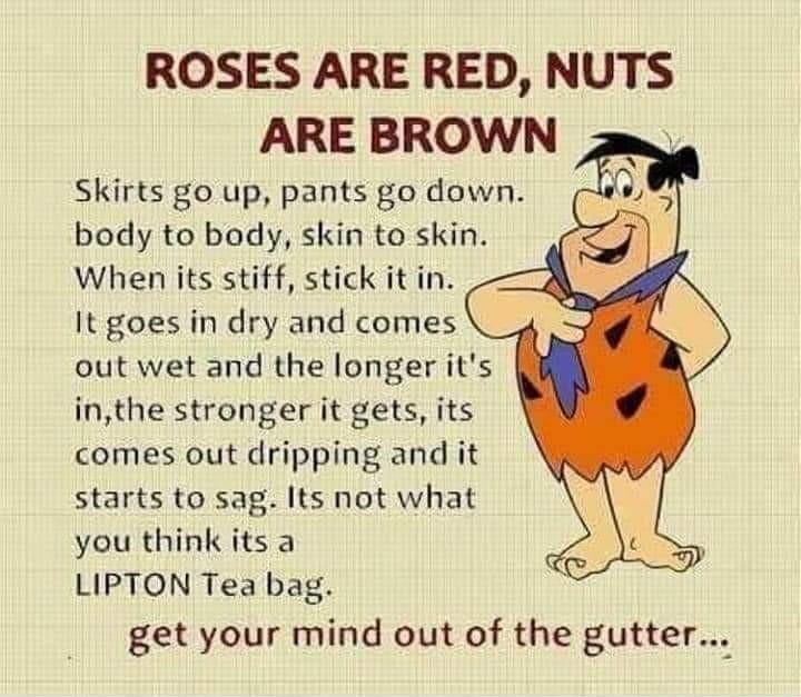 ROSES ARE RED NUTS ARE BROWN Skirts go up pants go down body to body skin to skin When its stiff stick it in It goes in dry and comes out wet and the longer its inthe stronger it gets its comes out dripping and it starts to sag Its not what you think its a LIPTON Tea bag get your mind out of the gutter