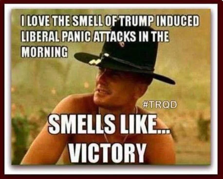 I LOVE THE SMELL OF TRUMP INDUCED LIBERAL PANIC ATTACKS IN THE MORNING SMELLS LIKE... VICTORY #TRQD