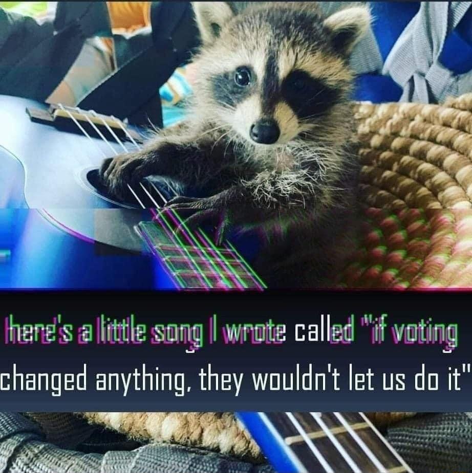 Y 4 henes a little sang wrote called if voting changed anything they wouldnt et us do it