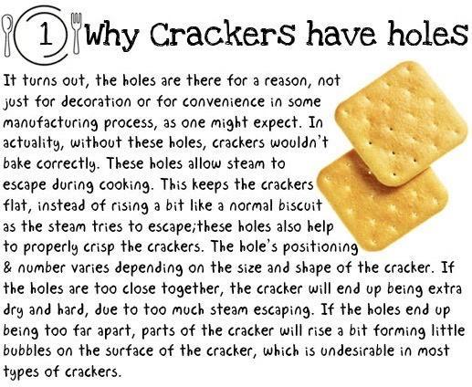 Diuny crackers have holes Tt torns out the holes are there for a reason not just for decoration or for convenience in some manufacturing process as one might expect In actuality without these holes crackers wouldnt bake correctly These holes allow steam to escape during cooking This keeps the crackers flat instead of rising a bit like a normal biscuit as the steam tries to escapeithese holes also 