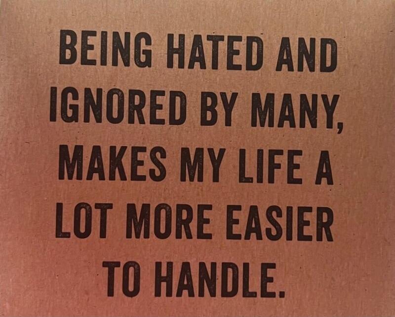 BEING HATED AND IGNORED BY MANY, MAKES MY LIFE A LOT MORE EASIER TO HANDLE.