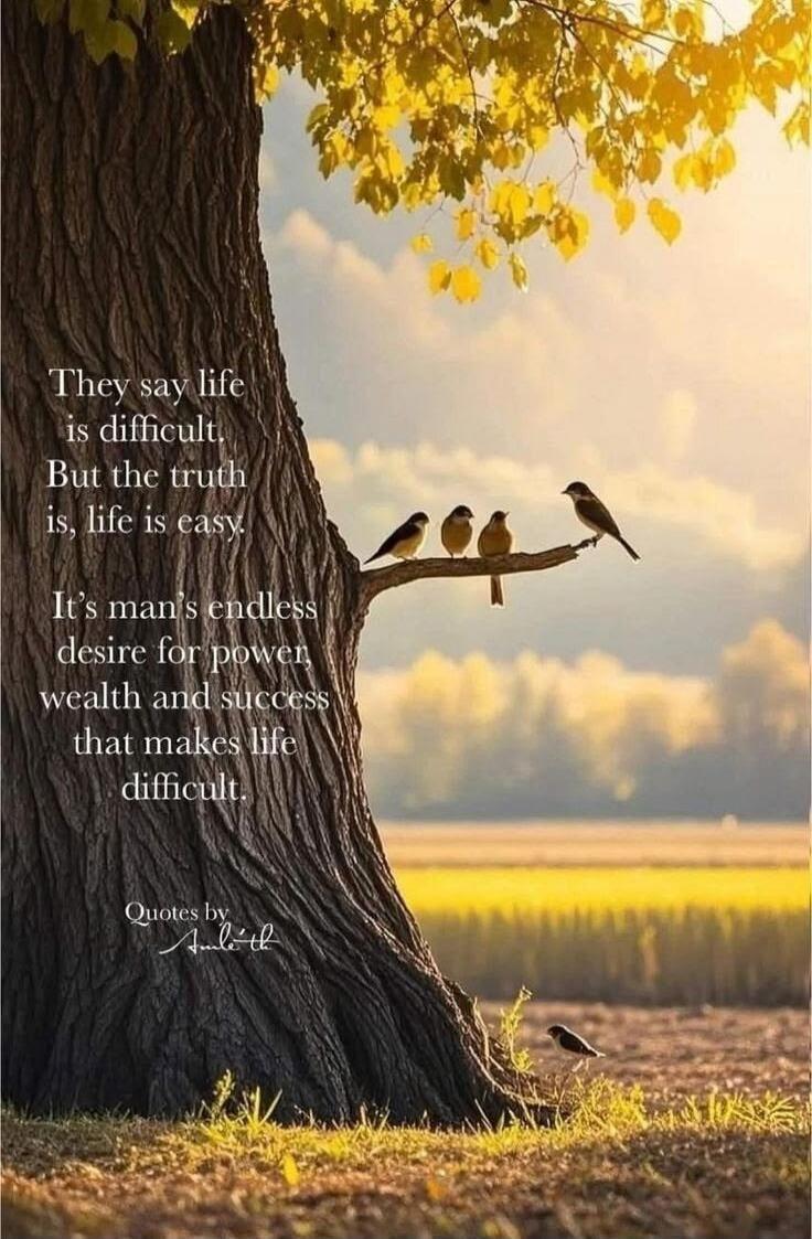 They say life is difficult. But the truth is, life is easy. It's man's endless desire for power, wealth and success that makes life difficult. Quotes by Amileth