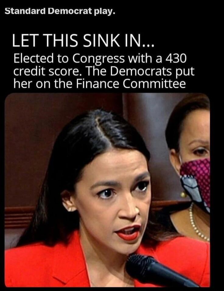 Standard Democrat play. LET THIS SINK IN... Elected to Congress with a 430 credit score. The Democrats put her on the Finance Committee