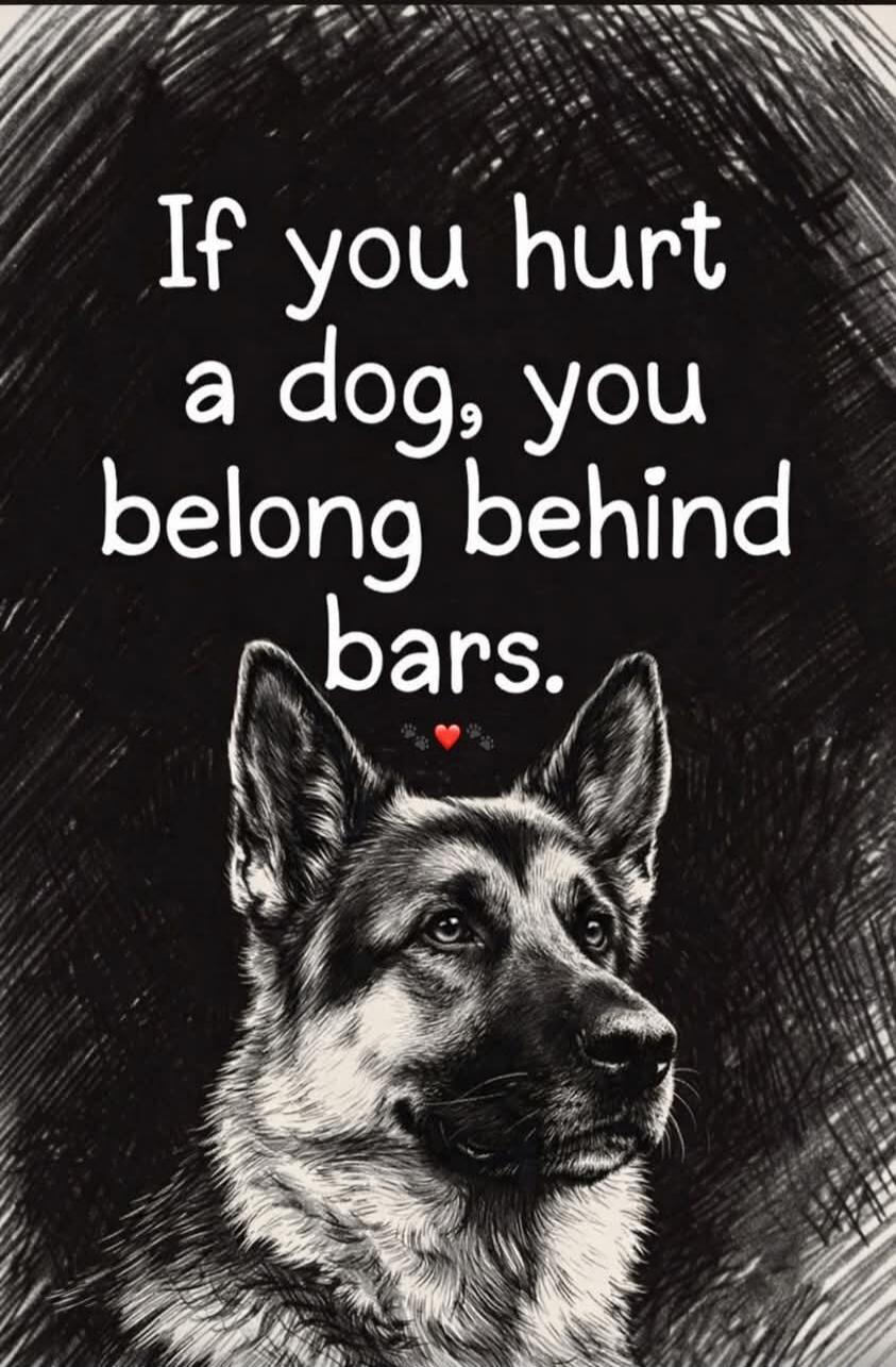 If you hurt a dog, you belong behind bars.