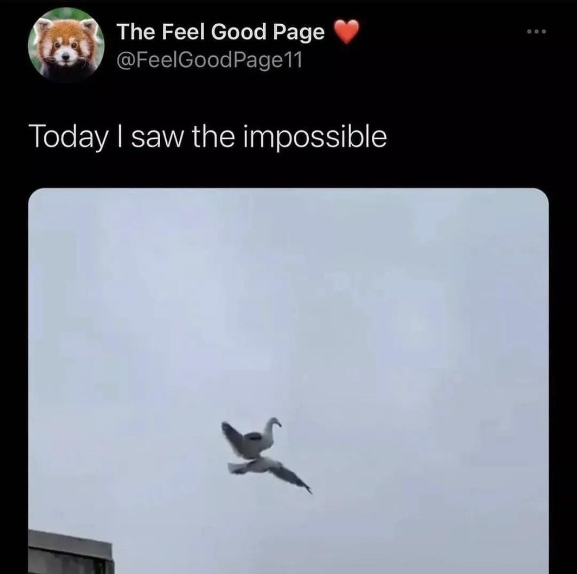 The Feel Good Page W Today saw the impossible